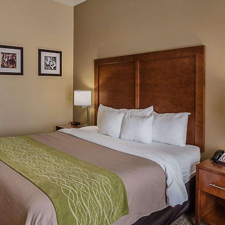 Comfort Inn Midland South I-20 Exteriér fotografie